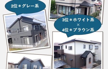 外壁の人気色傾向写真